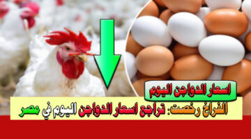 اسعار الدواجن اليوم 1