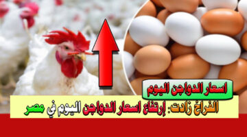 اسعار الدواجن اليوم