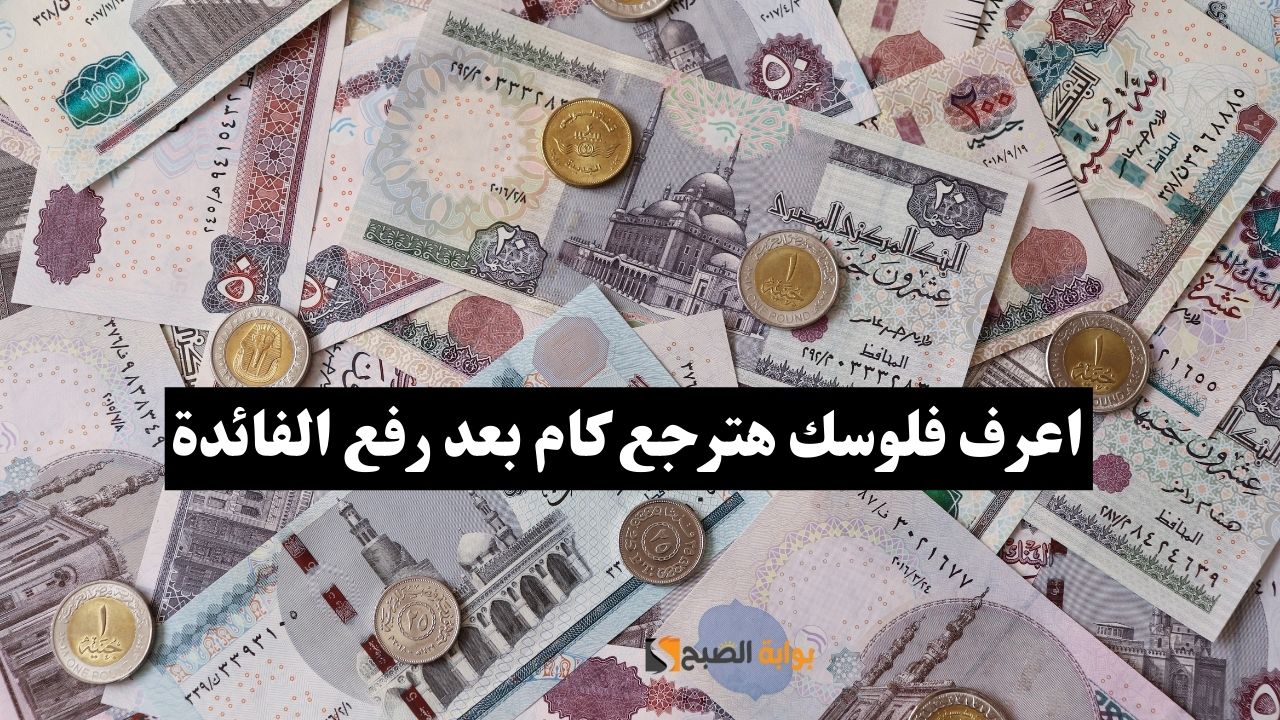 اعرف فلوسك هترجع كام.. 4 بنوك مصرية ترفع سعر الفائدة (التفاصيل) 5 اعرف فلوسك هترجع كام.. 4 بنوك مصرية ترفع سعر الفائدة (التفاصيل)
