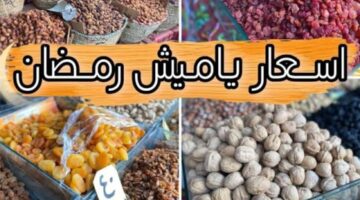 اسعار ياميش رمضان 2