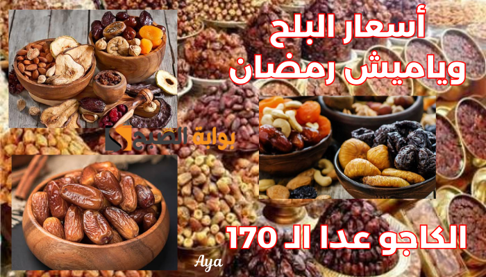 "مرحب بقدومك".. أسعار البلح وياميش رمضان السنادي 2024.. خد فكرة واشتري بكرة! 5 “مرحب بقدومك”.. أسعار البلح وياميش رمضان السنادي 2024.. خد فكرة واشتري بكرة!