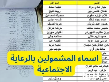 رابط تنزيل كشوفات أسماء المشمولين بالرعاية الاجتماعية 2024 في العراق الوجبة الأخيرة