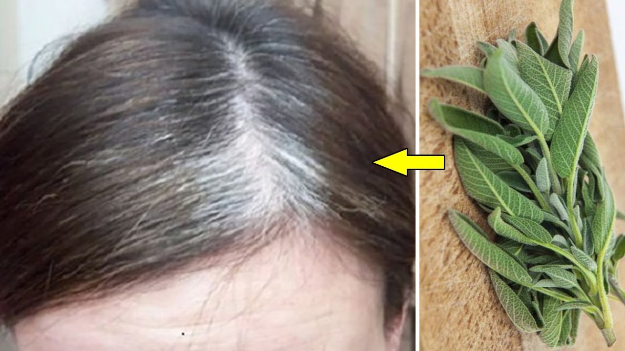 وداعاً للشيب! وداعاً لكبر السن! استعيدي شبابك في دقائق مع هذه العشبة السحرية! 5 وداعاً للشيب! وداعاً لكبر السن! استعيدي شبابك في دقائق مع هذه العشبة السحرية!