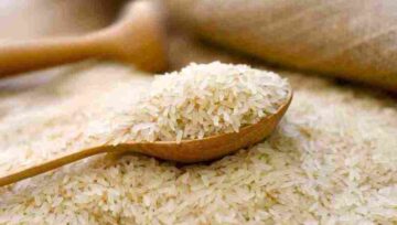 سعر طن الأرز الشعير والأبيض اليوم السبت 2-11-2024