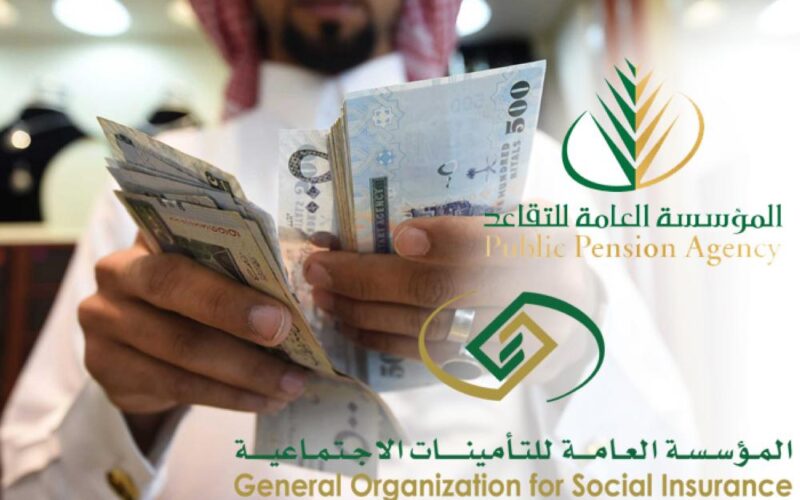 التأمينات الإجتماعية توضح.. هل يؤثر العمل الحر على معاشات التقاعد؟