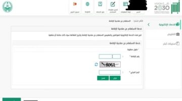 الاستعلام عن صلاحية الإقامة