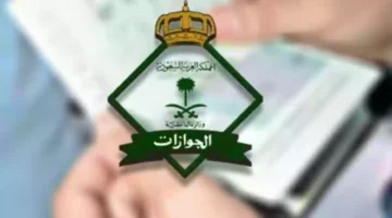 الاستعلام عن وافد برقم الحدود