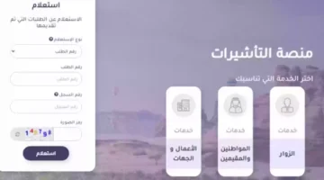 التاشيرات