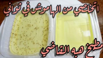 اختراع.. سر اغلب الستات متعرفوش إزاي تقضي على الهاموش والناموس بشكل نهائي