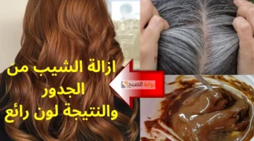 التخلص من شيب الشعر