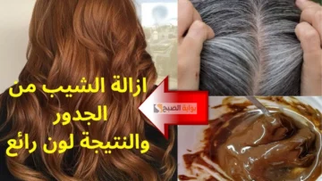 خلطتي الجبارة والصاروخية من الطماطم للتخلص من شيب الشعر نهائيا “هيرجع أسود ليل”