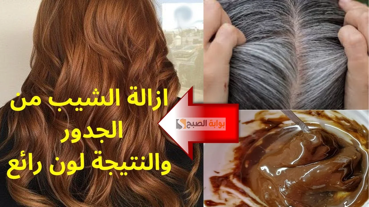خلطتي الجبارة والصاروخية من الطماطم للتخلص من شيب الشعر نهائيا "هيرجع أسود ليل" 5 خلطتي الجبارة والصاروخية من الطماطم للتخلص من شيب الشعر نهائيا “هيرجع أسود ليل”