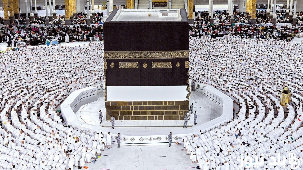 شروط ورابط التسجيل للحج 2024- 1445 وأسعار باقات الحج لحجاج الداخل 2 شروط ورابط التسجيل للحج 2024- 1445 وأسعار باقات الحج لحجاج الداخل