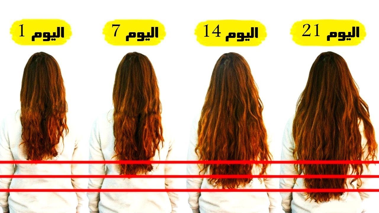 هتجننيهم بجمال شعرك.. مكون جبار هينمو شعرك بسرعة الصاروخ تكثيف وتطويل خيالي هتلاحظي الفرق 5 هتجننيهم بجمال شعرك.. مكون جبار هينمو شعرك بسرعة الصاروخ تكثيف وتطويل خيالي هتلاحظي الفرق