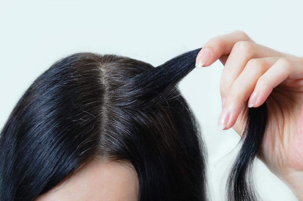طرق علاج الشيب بالأعشاب والقضاء علي الشعر الأبيض نهائياً 5 طرق علاج الشيب بالأعشاب والقضاء علي الشعر الأبيض نهائياً