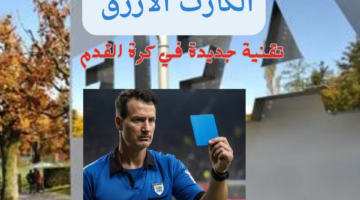 الكارت الازرق 20240209 215929 0000