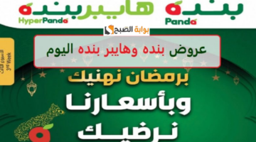 باندا