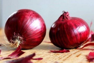 ارتفاع سعر البصل في السعودية.. تعرف على الأسباب