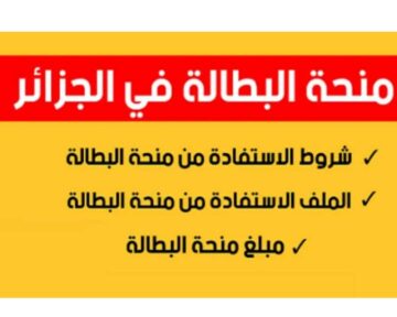 من خلال الوكالة الوطنية للتشغيل..تجديد وتسجيل منحة البطالة في الجزائر 2024
