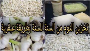 أسرار تخزين الثوم في الفر يزر لعام كامل بدون تغيير اللون مع الاحتفاظ بالرائحة الفريش