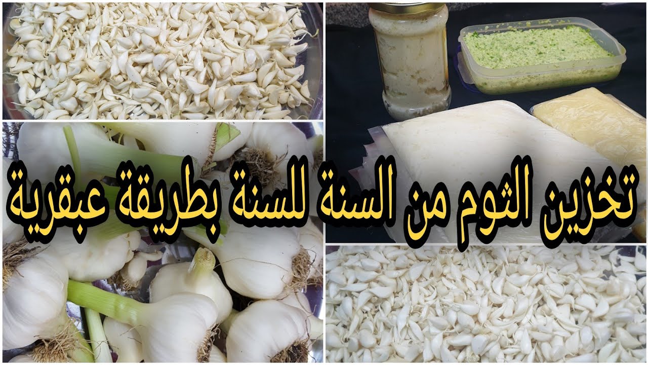 أسرار تخزين الثوم في الفر يزر لعام كامل بدون تغيير اللون مع الاحتفاظ بالرائحة الفريش