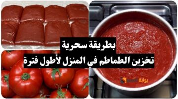 تخزين الطماطم في المنزل