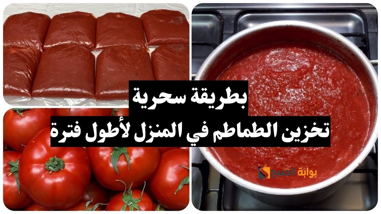 مش سحر.. طريقة تخزين الطماطم في المنزل لأطول مدة وبنفس قيمتها الغذائية