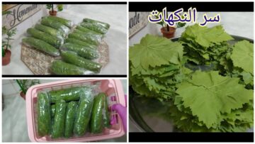 خزنية من السنة للسنة.. اضمن واسهل طريقة لتخزين ورق العنب بدون اى تغيير فى لونة او طعمة.. هينفعك فى رمضان