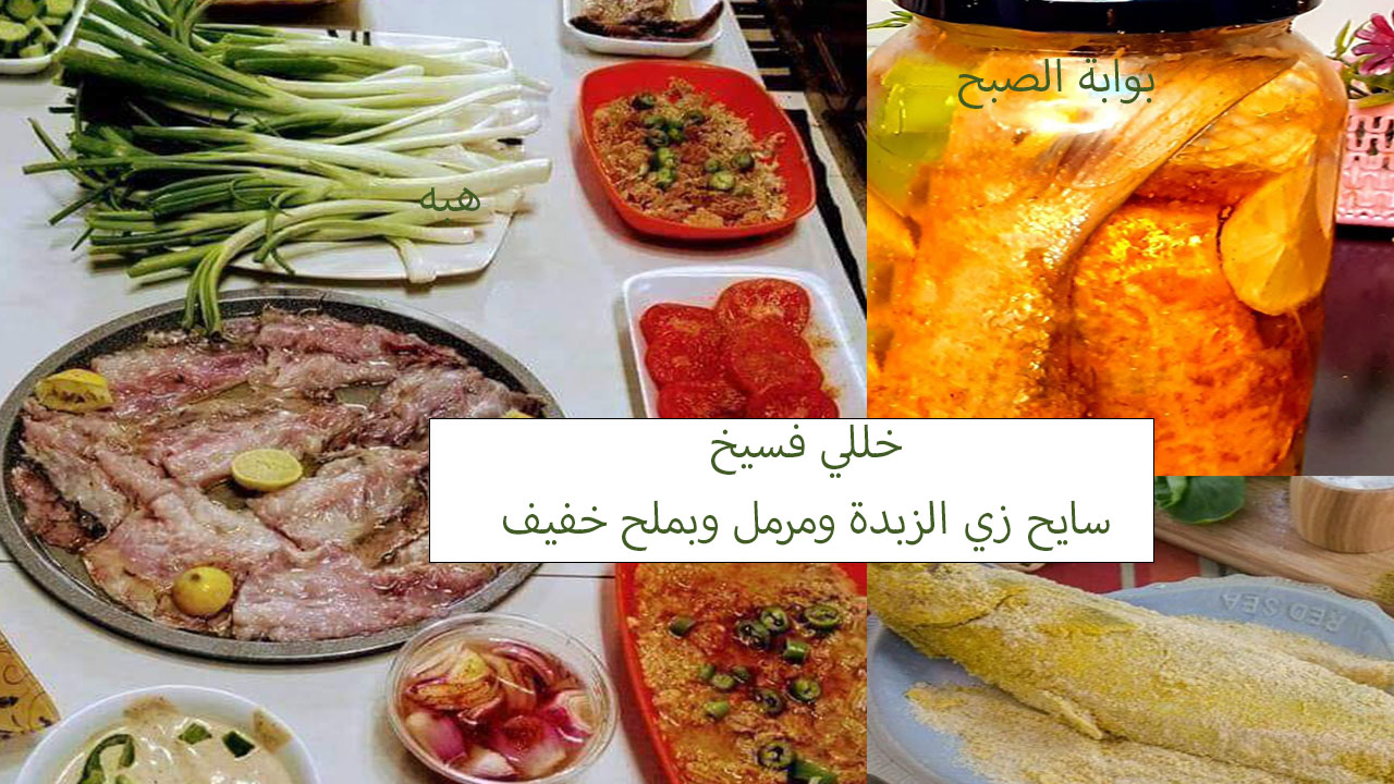 خللي الفسيخ في برطمان طعمه زي الزبدة وبملح خفيف ونظيف وفي أسرع وقت 5 خللي الفسيخ في برطمان طعمه زي الزبدة وبملح خفيف ونظيف وفي أسرع وقت
