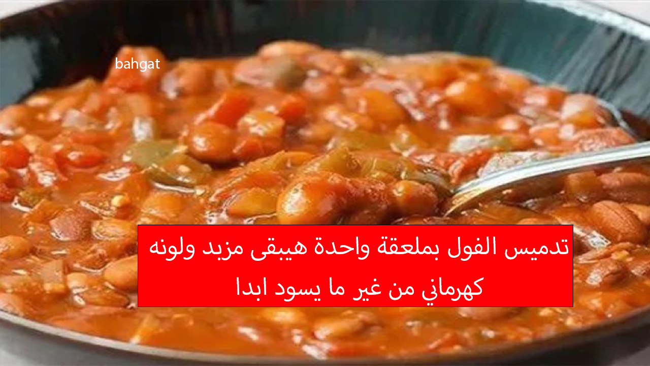 بمكون واحد تدميس الفول بلون كهرماني ومزبد ولا يسود لأخر حبة 5 بمكون واحد تدميس الفول بلون كهرماني ومزبد ولا يسود لأخر حبة