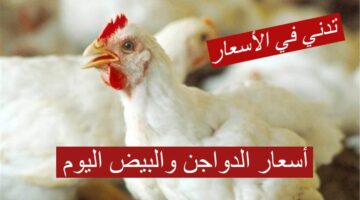 تدني في الأسعار