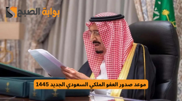 تردد 31