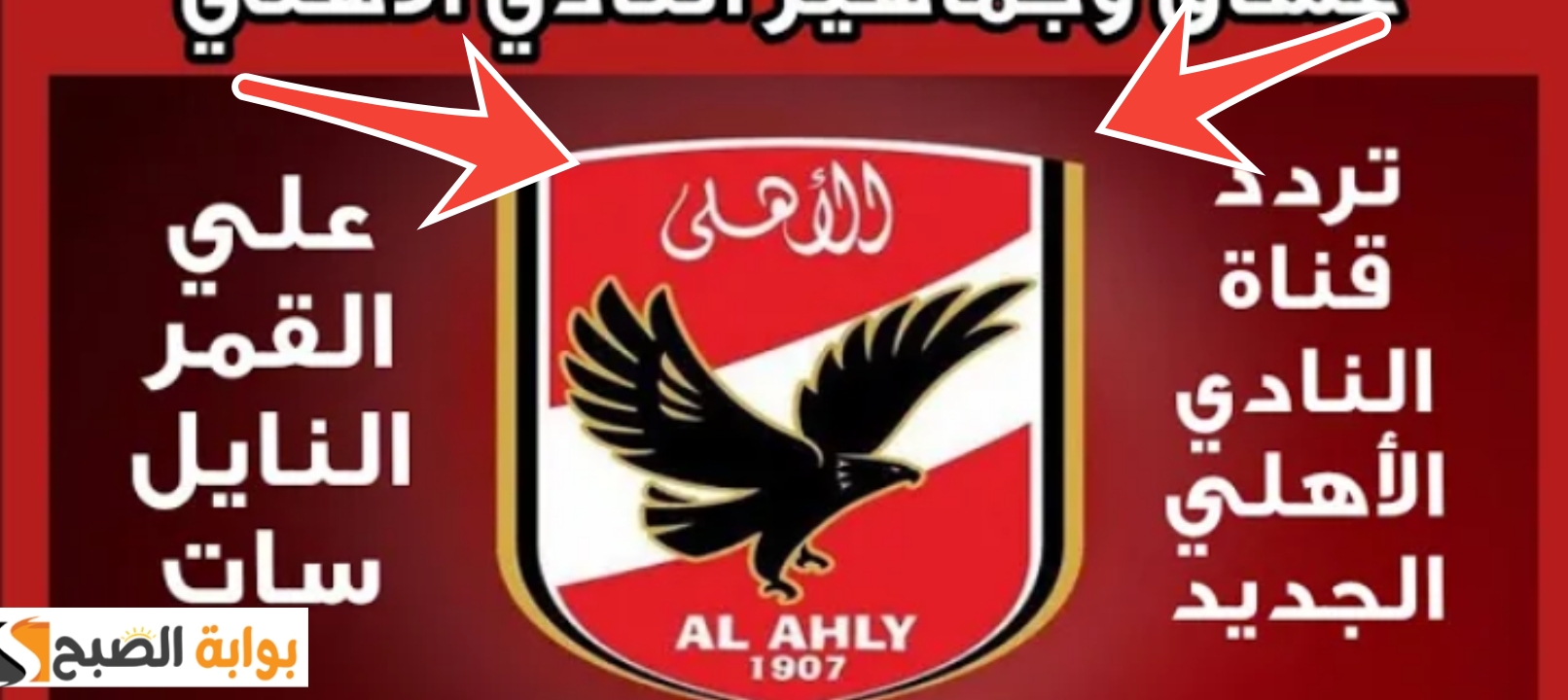 تردد قناة الأهلي 2024 لمشاهدة المباريات والاستوديوهات التحليلية Al AHLY TV 2 تردد قناة الأهلي 2024 لمشاهدة المباريات والاستوديوهات التحليلية Al AHLY TV