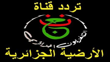 مين هيفوز باللقب يا ترى .. تردد قناة الجزائرية الأرضية 2024 الناقلة لمباراة نهائي كأس الأمم الإفريقية بين فريقي نيجيريا وكوت ديفوار