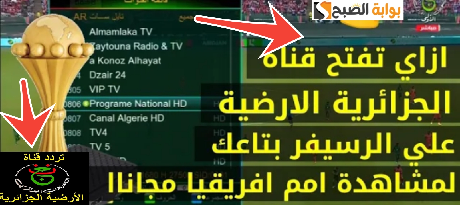 تردد قناة الجزائرية الأرضية لمشاهدة نهائي افريقيا نيجيريا وكوت ديفوار 2024 5 تردد قناة الجزائرية الأرضية لمشاهدة نهائي افريقيا نيجيريا وكوت ديفوار 2024