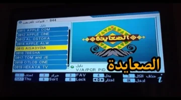 تردد قناة الصعايدة الجديد 1
