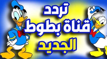 تردد قناة بطوط 2024 الجديد