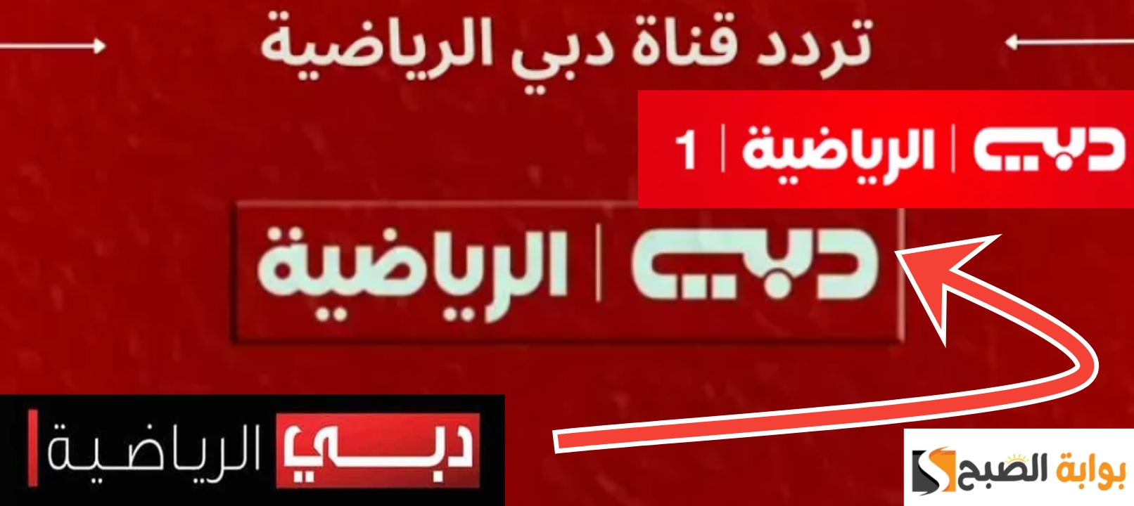 تردد قناة دبي الرياضية 2024 Dubai sports لمشاهدة أهم المباريات مجاناً
