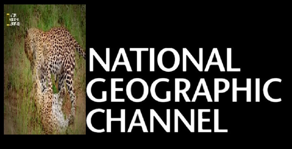 تنزيل National Geographic .. تردد قناة ناشيونال جيوغرافيك المفتوحة الجديد 2024 لعرض الأفلام الوثائقية 5 تنزيل National Geographic .. تردد قناة ناشيونال جيوغرافيك المفتوحة الجديد 2024 لعرض الأفلام الوثائقية