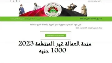 اعرف الآن.. الفئات التي تستحق منحة العمالة غير المنتظمة 2024 والأوراق المطلوبة للتقديم