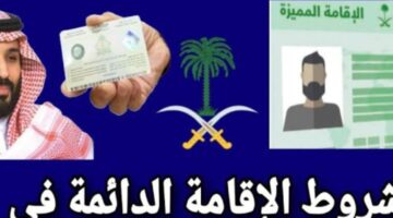 تصميم بدون عنوان 20240206 123340 ٠٠٠٠