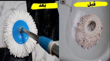 تنظيف الشر