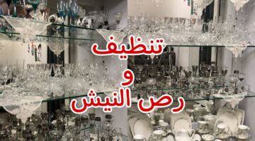 تنظيف النيش