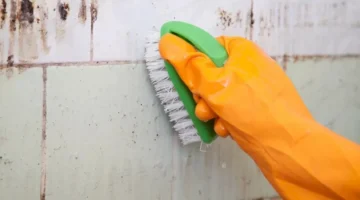 تنظيف حوائط المطبخ من الدهون