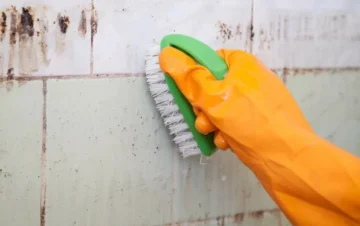 مكون كلنا بنرميه هينظف ويلمع حوائط المطبخ من الدهون والشحوم المتراكمة وهيرجعه جديد لانج