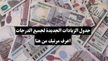 جدول الزيادات الجديدة لجميع موظفي الدولة.. اعرف مرتبك من هنا