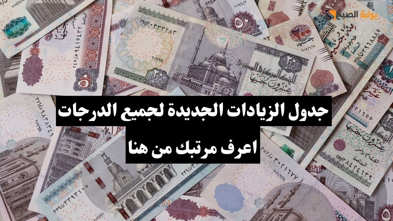 جدول الزيادات الجديدة لجميع موظفي الدولة.. اعرف مرتبك من هنا 5 جدول الزيادات الجديدة لجميع موظفي الدولة.. اعرف مرتبك من هنا