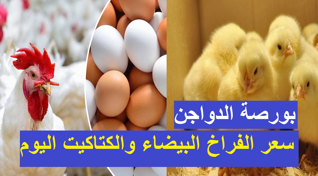 مفاجأة في أسعار الدواجن والطيور.. تعرف علي الأسعار اليوم ألاثنين الموافق 19 فبراير 5 مفاجأة في أسعار الدواجن والطيور.. تعرف علي الأسعار اليوم ألاثنين الموافق 19 فبراير