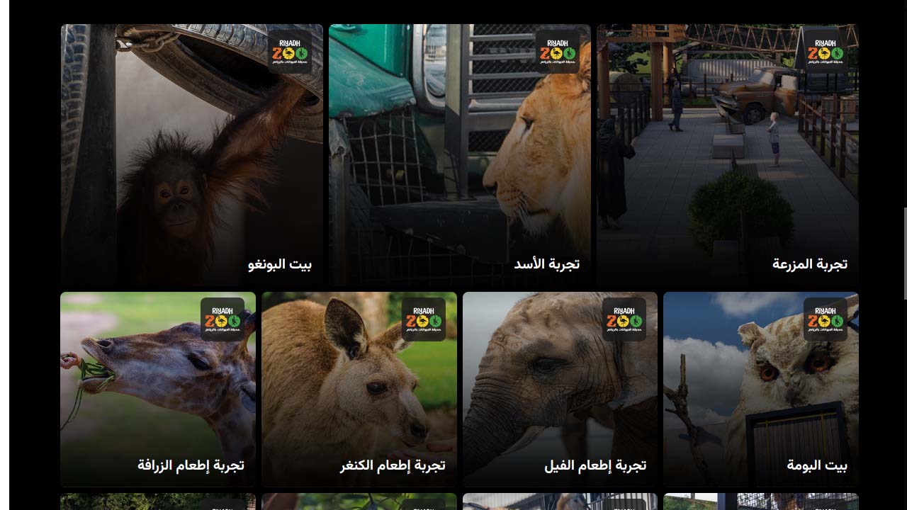 الرياض Zoo | حجز تذاكر حديقة الحيوان في الرياض 5 الرياض Zoo | حجز تذاكر حديقة الحيوان في الرياض