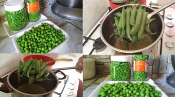 خطوات تقشير البازلاء بسرعه